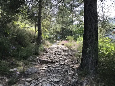 Le sentier des Lauzes
