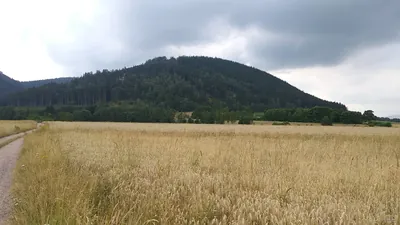 Trasa czarna
