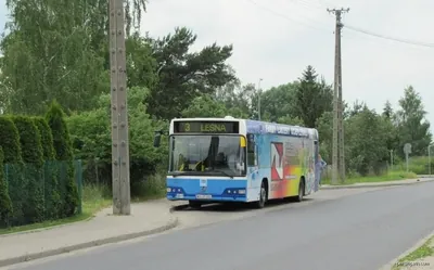 Leśna Pętla