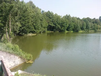 Trasa biegowa