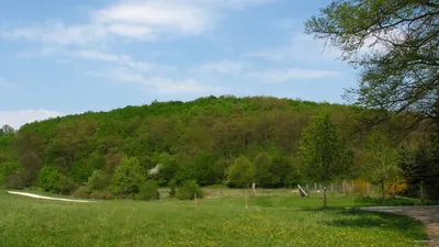 kmtb Királyok útja 3. szakasz (Pilisszentkereszt - Visegrád)