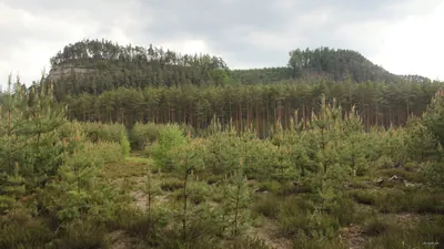 [Č] Ještěd - Pod Děvínem
