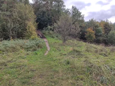Wodziłki - Góra Zamkowa