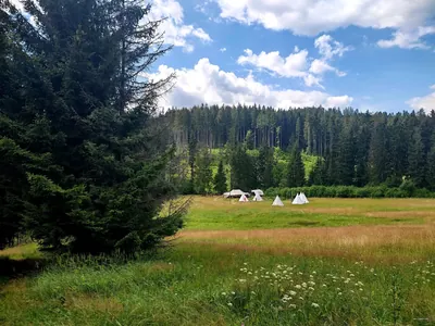 památník posledního vlka v Beskydech
