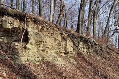 Szlak Lipowiecki