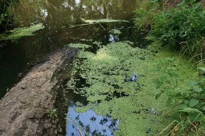 Szlak Nekropolii I Wojny Światowej