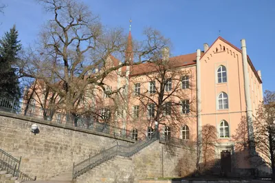 Růžovka