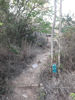 La font del Tort