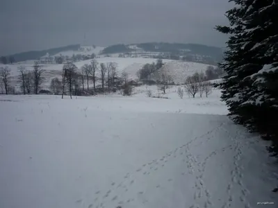 Singletrack Czerwona Jedlina-Zdrój
