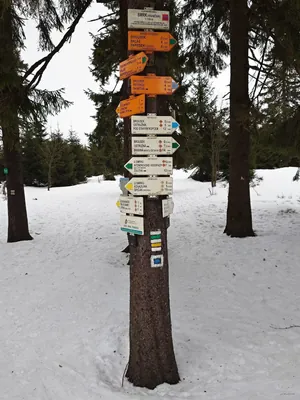 Via Czechia - Stezka Slezskem - cyklistická (etapa 1)