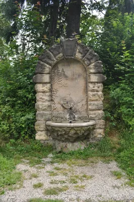 Andrzejówka - Sokołowsko - Andrzejówka