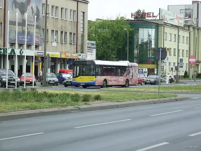 Trasa spacerowa po Płocku