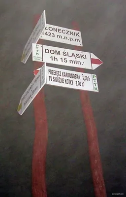Karpacz - Słonecznik