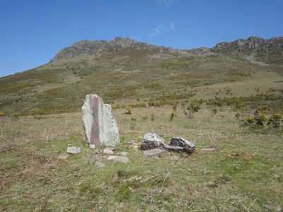 Ibaineta