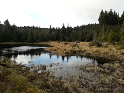 Via Czechia - Severní stezka (pěší)