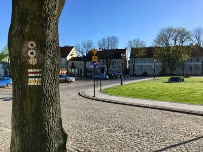 Pułtusk, Rynek - Wierzbica - rondo, PKS