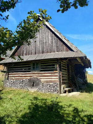 Ścieżka Przyrodniczo-Historyczna Olchowiec