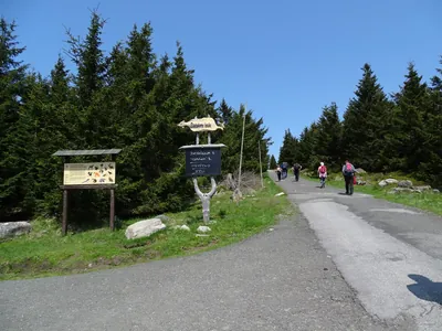 NS Krkonošská zvířata