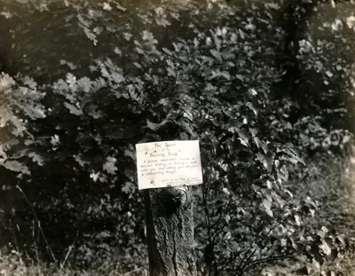 Sentier d'interprétation