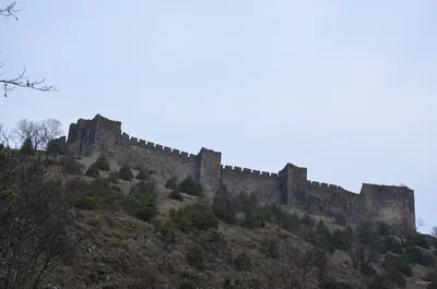 Голијска трансверзала