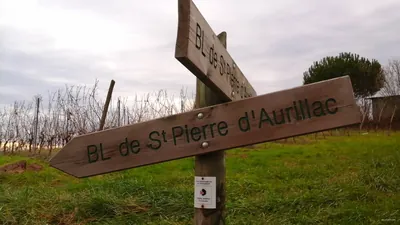 Saint-Pierre-d'Aurillac : boucle locale
