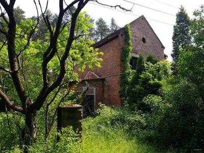 Szlak Uroczyska Buk