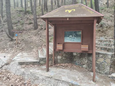 Stavros tis Psokas Mufflon Enclosure