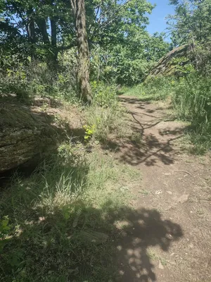 Staza zdravlja