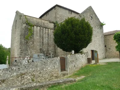 Tour de la Mandragore
