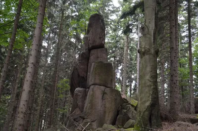 Strużnica - Czarnów