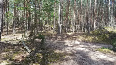 Ścieżka dydaktyczna "Do Karczmiska"