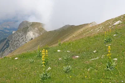 Col de Chorges - Le Piolit