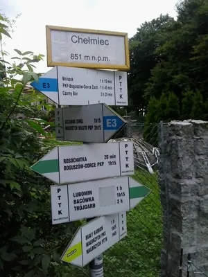 Dzikowiec - Chełmiec