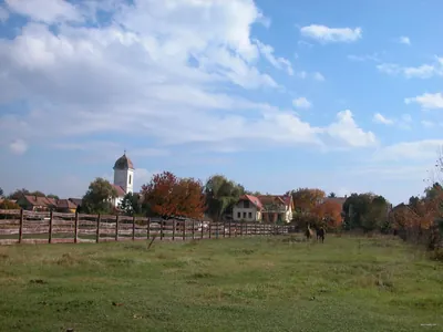 Z (Szentendre, Szigetmonostori rév aut. m. – Álló-rét – Dunabogdány, községháza aut. m.)