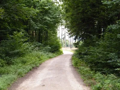 S3