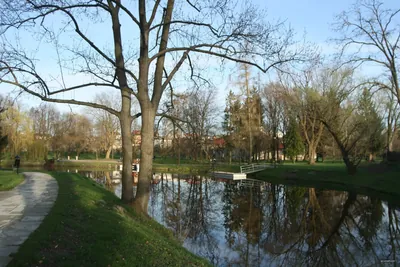 Puszcza Przysuska - Szydłowiec - Iłża - Antoniów