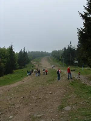 The Loop