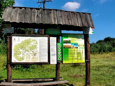 Ścieżka edukacyjna "Góra Apteka"