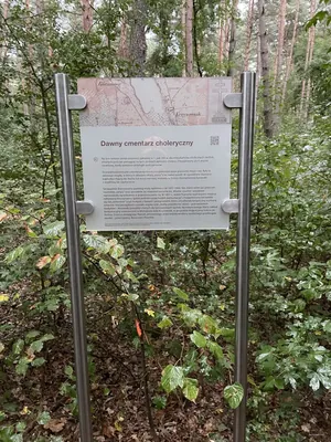 Niebieska Ścieżka Relaksu