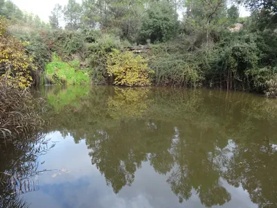 Santpedor Circular