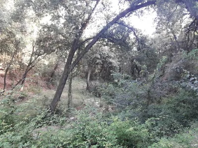 Circular d'Ègara - Terrassa