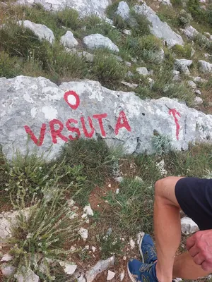 Partisan staza