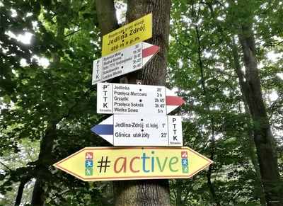 Jedlina Zdrój stacja kolejowa - Jałowiec - Głuszyca stacja kolejowa