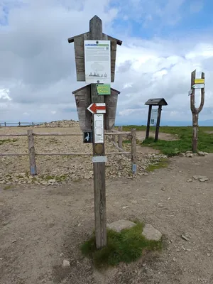 NS Králický Sněžník