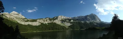 Bioč