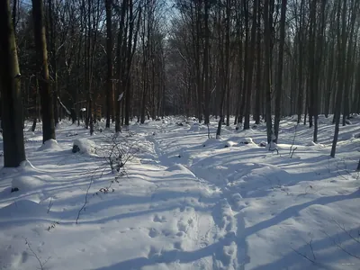 Ścieżka przyrodnicza Sulistrowiczki - Skalna - Tąpadła