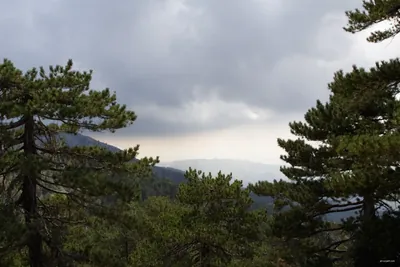 Prodromos Nature Trail 1 to 2