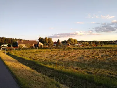 Świerczówka - trasa spacerowa
