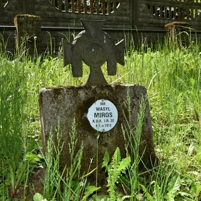 Burzyn - Brzanka