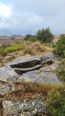 Sendero del Vino A-10